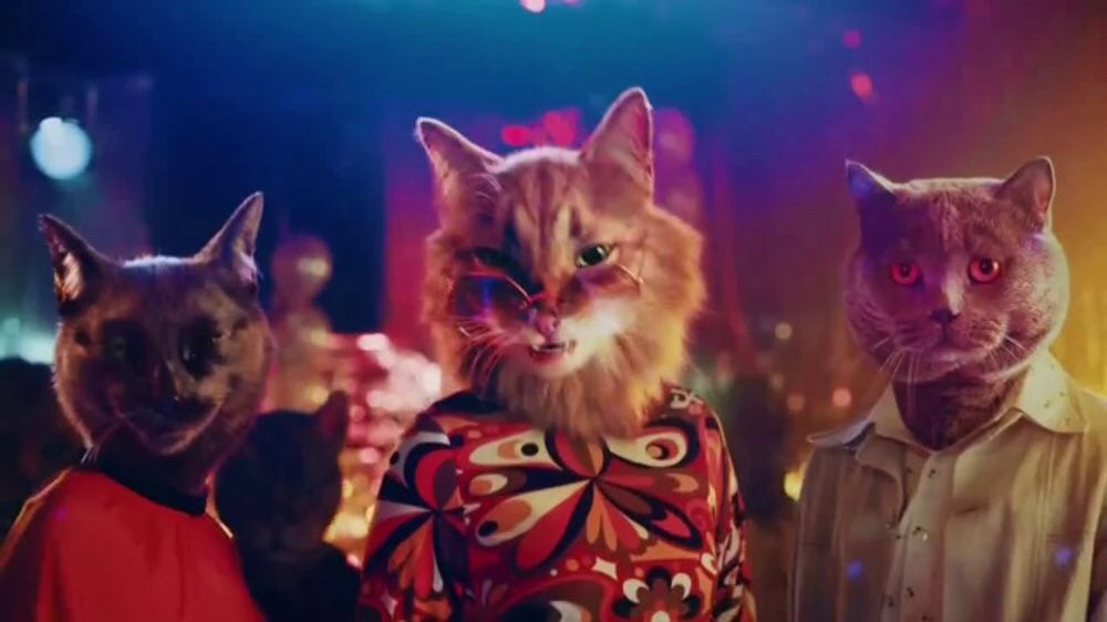 cat disco commercial FOXSYLVANIA