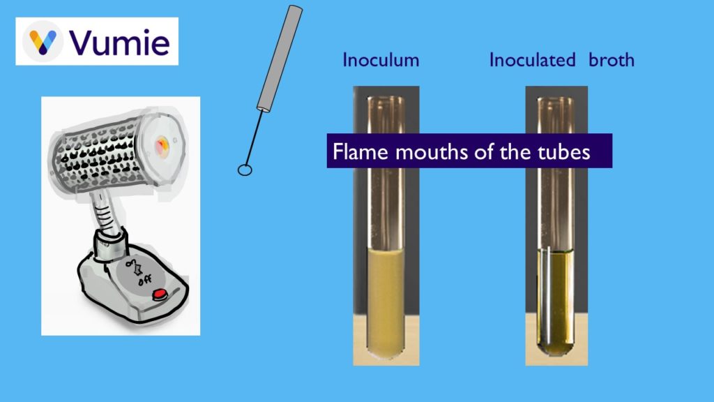 Review TubeTube Transfers