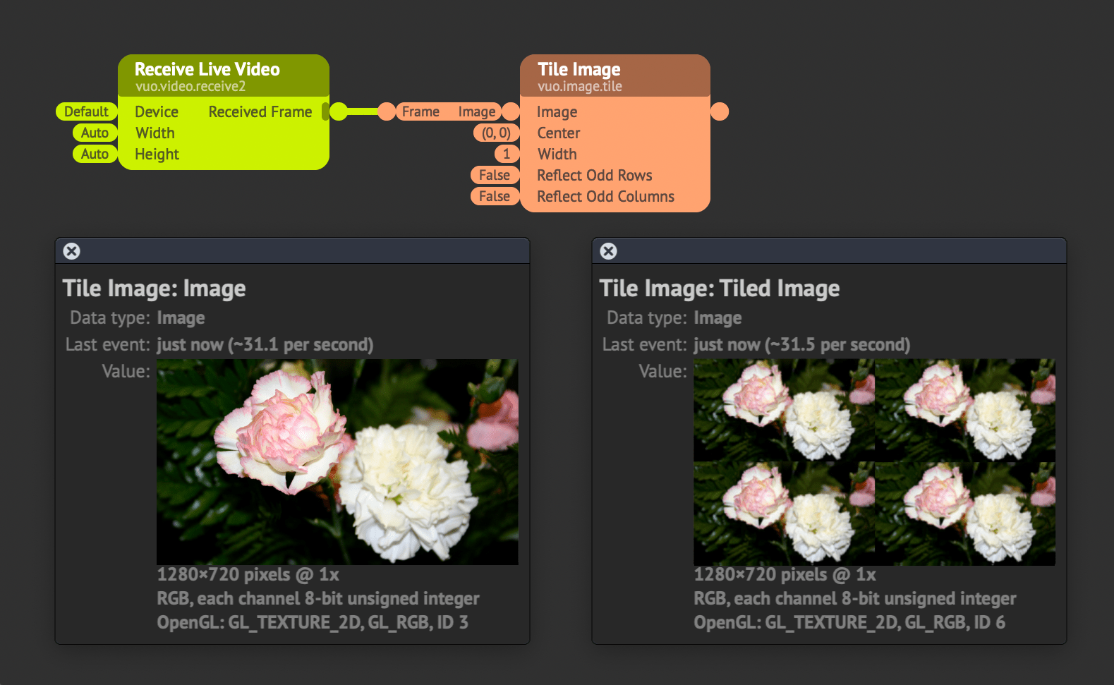 Rose Flower In Xhosa