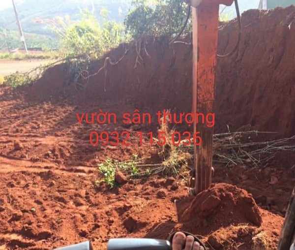 Đất phú sa là gì??