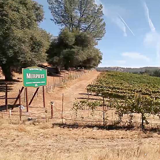 V Vacation Rentals Murphys CA in Northern California