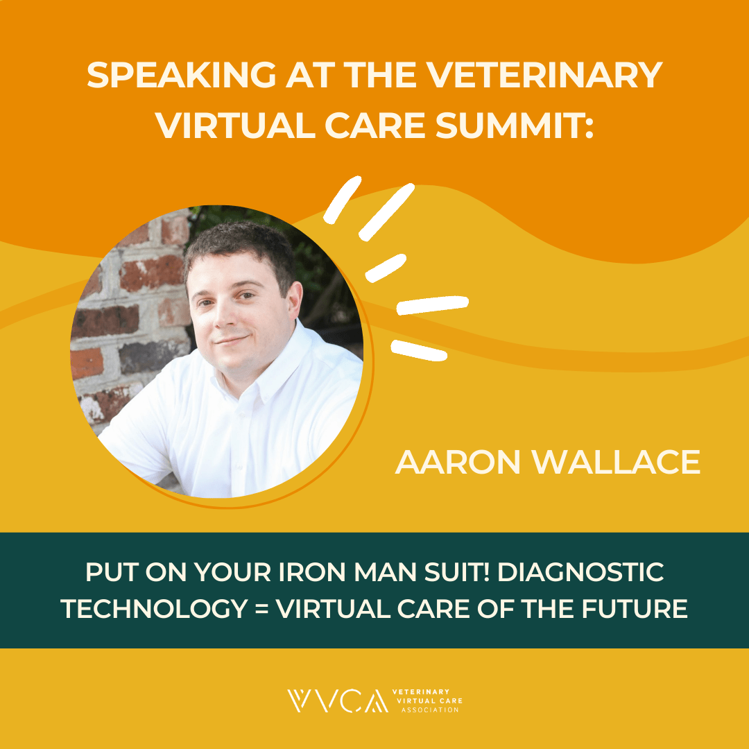 Summit Veterinary Virtual Care Association