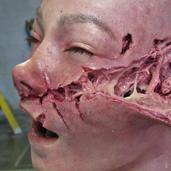 Dog Attack head Vincent Van Dyke Effects