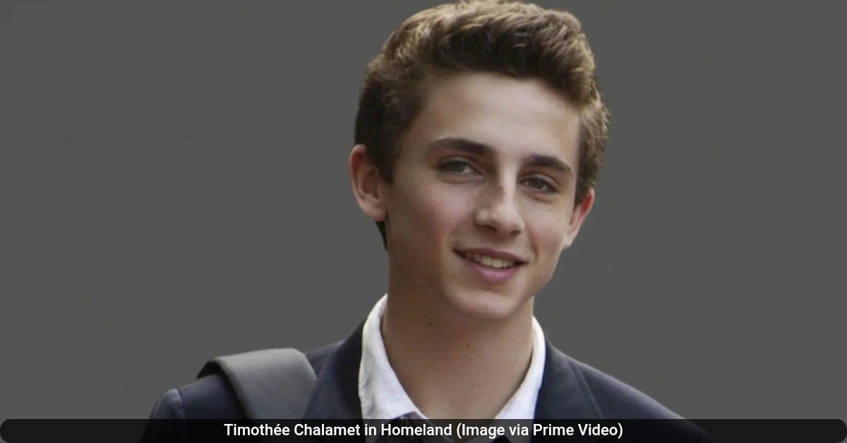 Timothe Chalamet In Homeland His Early Role As Finn Walden Explained