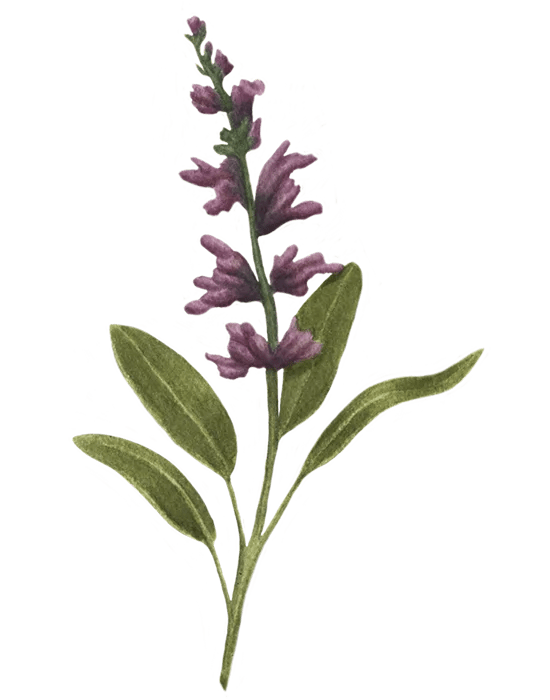 Vya Apothecary Dry Vermouth Cocktails Vya Vermouth