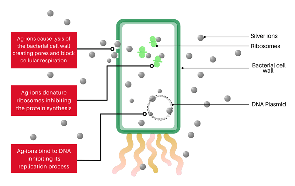 Antimicrobial SilverIon Technology The Silver Bullet For Infections