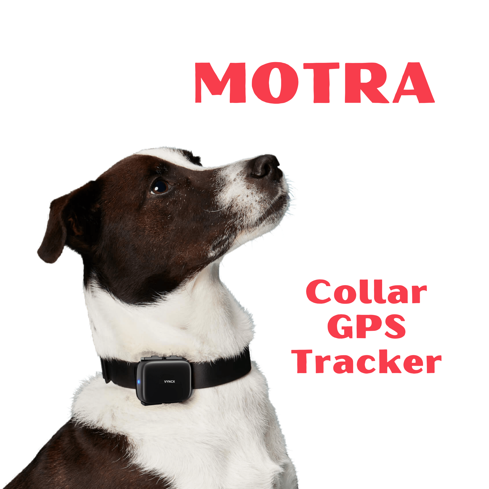 MotraBest Pet GPS tracker VYNCX