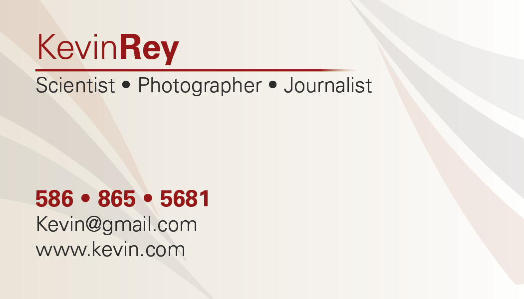 Vyseri Art PhD Business Card