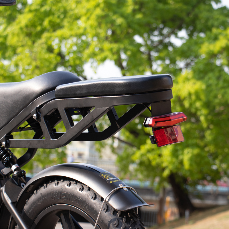 V20pro Fatbike 48V500w Electric Bike Good Quality Electric Bicycle Fat