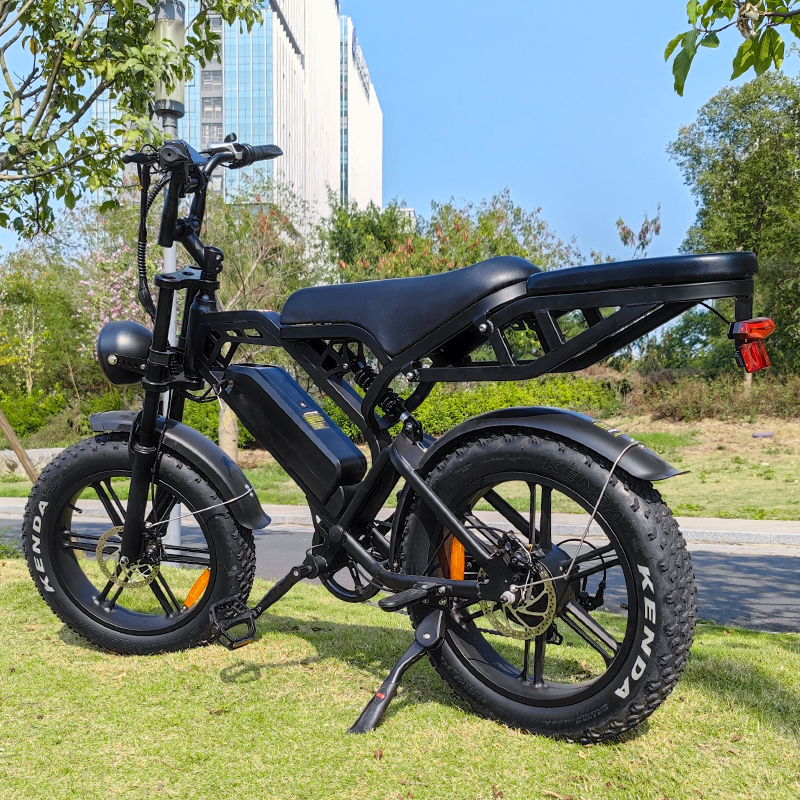V20pro Fatbike 48V500w Electric Bike Good Quality Electric Bicycle Fat
