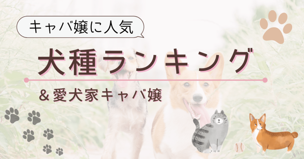 【キャバ嬢に人気】犬種ランキング＆愛犬家キャバ嬢 Wterrace(ダブルテラス)