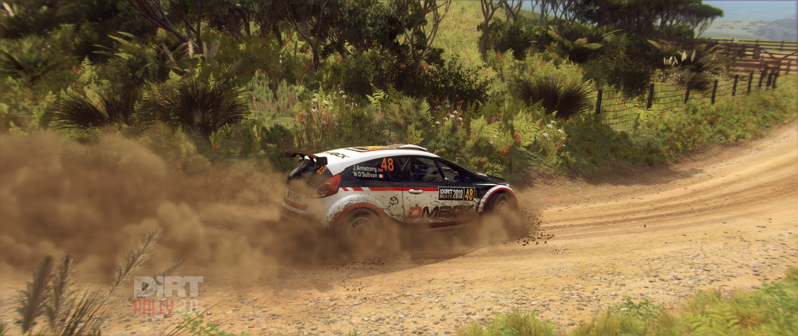 Rally, rally cars, DiRT Rally, dirt road, video games