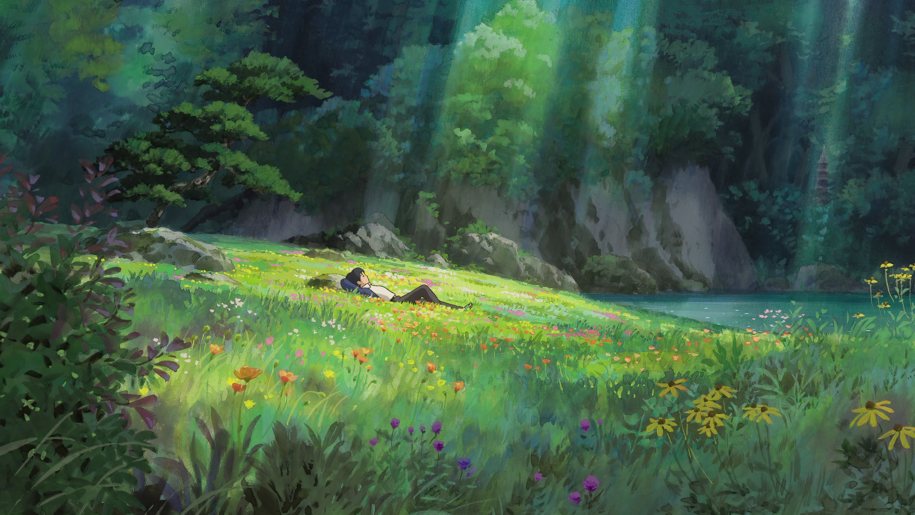 anime, Studio Ghibli, nature, outdoors, flowers, plants