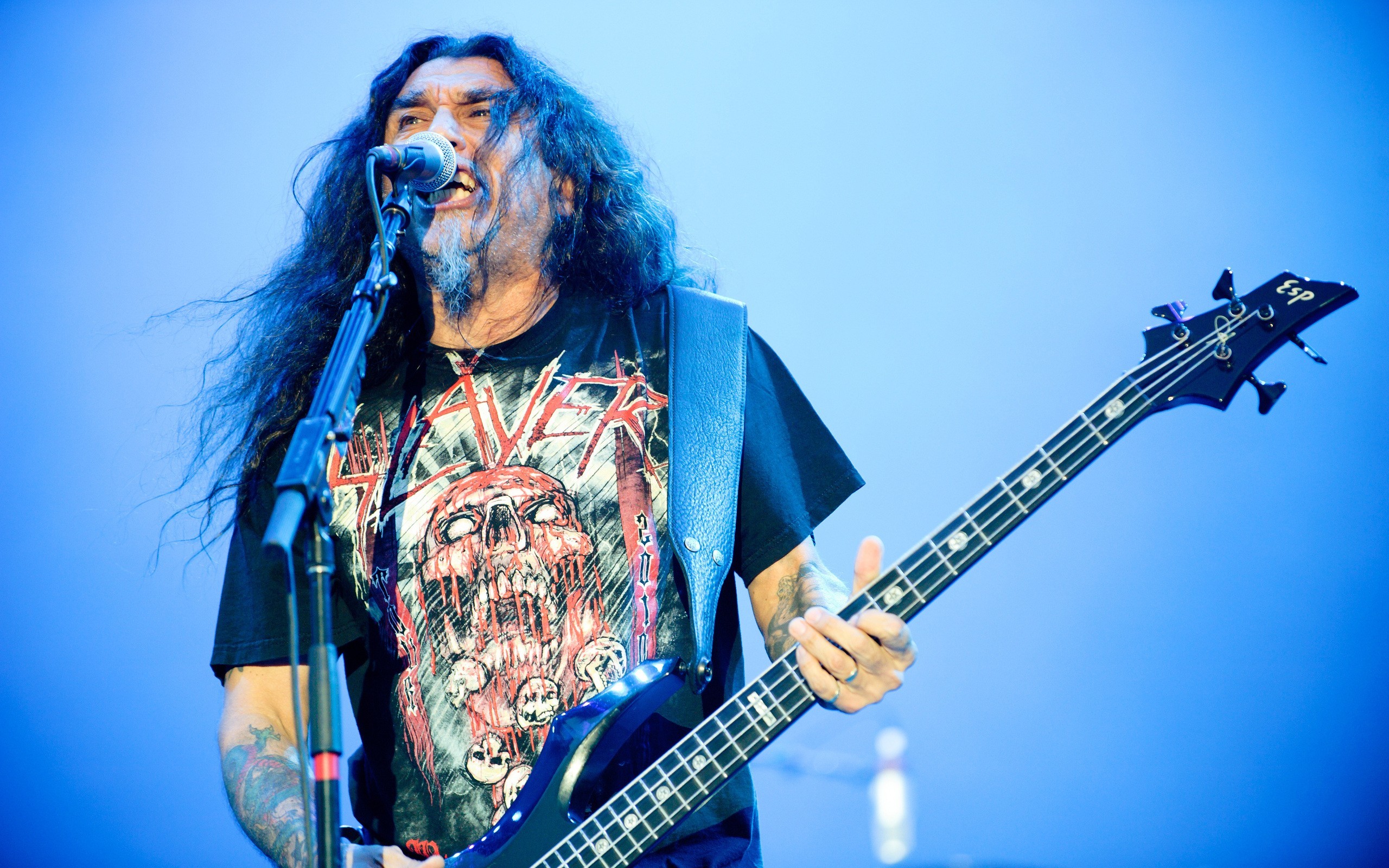metal band, singer, alternative subculture, guitarist, Tom Araya