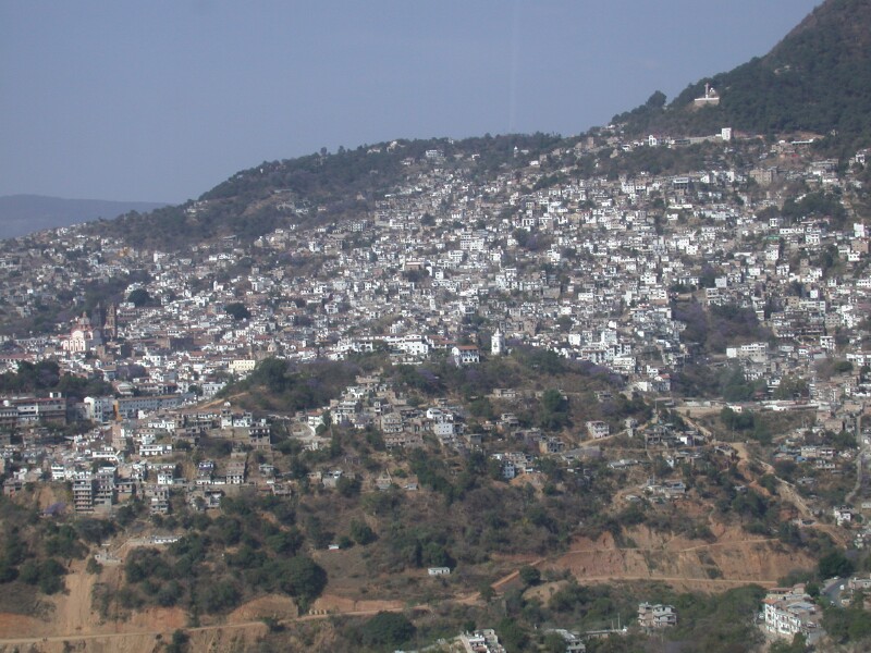 Oxen at a small town near our RV park close to Cuernavaca the city of