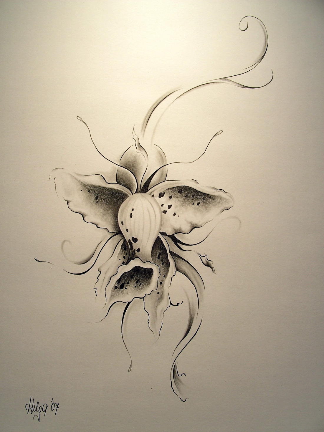 in bloom Bild / Kunst von FrauLumpiwuschi bei