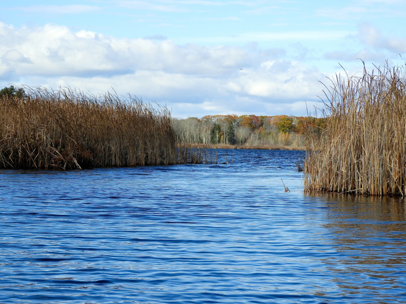 Canoeing in Maine Exploring Great Pond in Cape Elizabeth