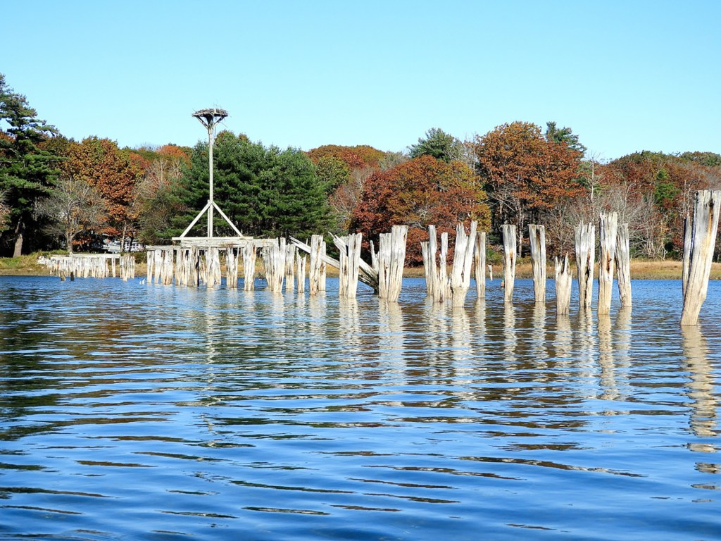Canoeing in Maine A perfect finish to the paddling season at Cape