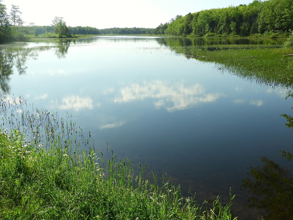 Canoeing in Maine Pleasant Lake in Stetson puts the perfect in a June day