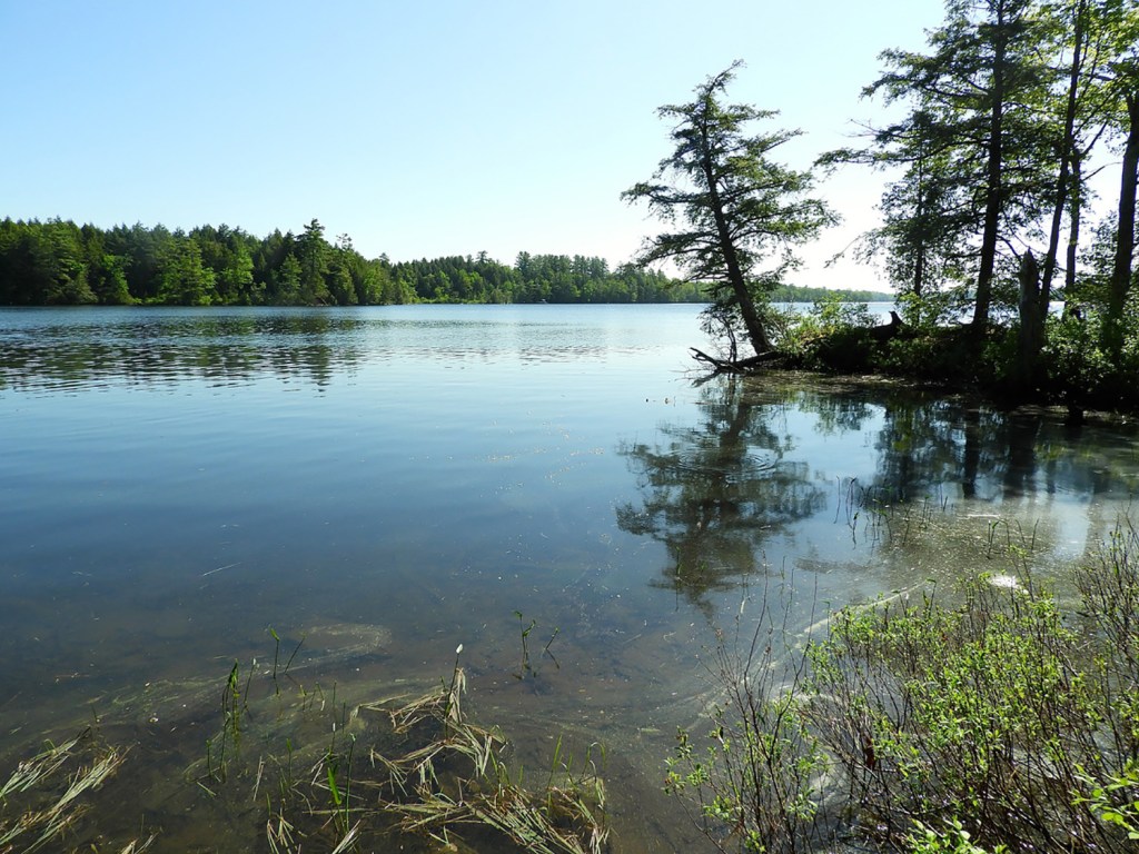 Canoeing in Maine Pleasant Lake in Stetson puts the perfect in a June day