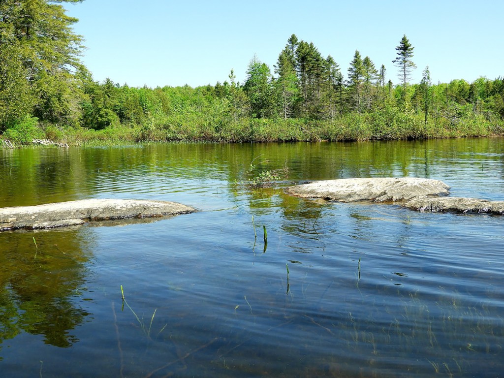 Canoeing in Maine Pleasant Lake in Stetson puts the perfect in a June day