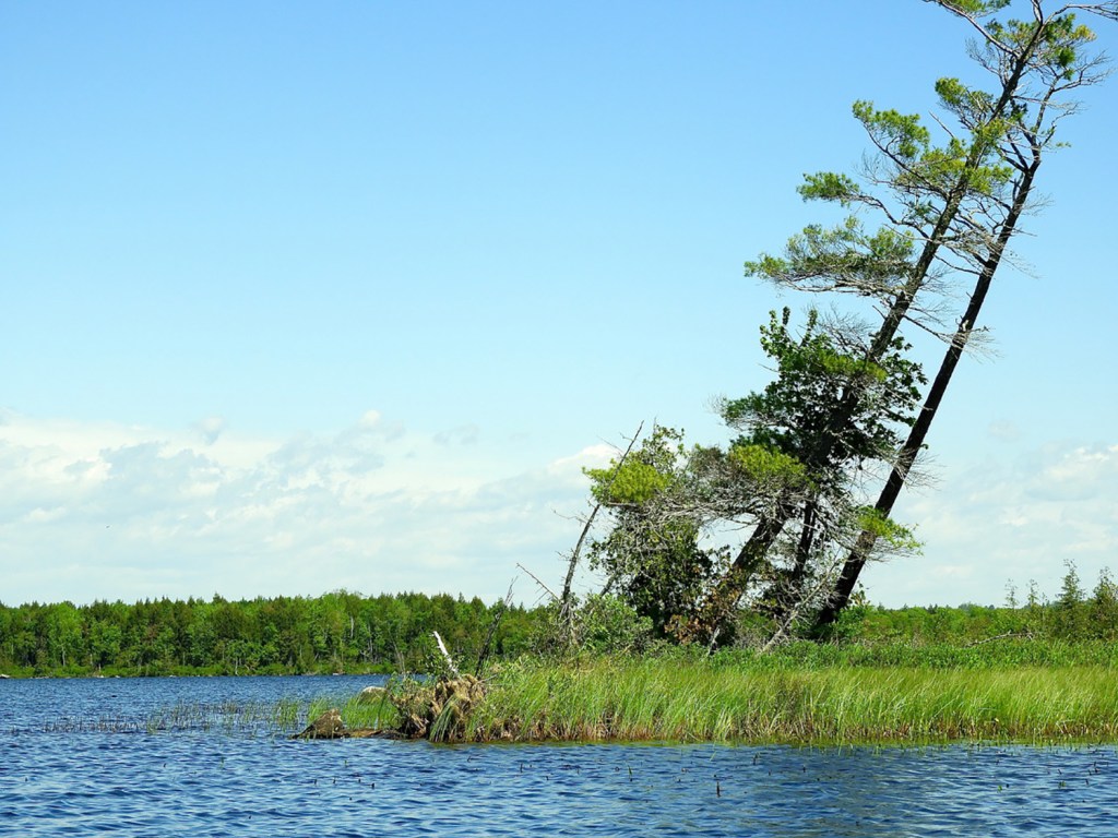 Canoeing in Maine Pleasant Lake in Stetson puts the perfect in a June day