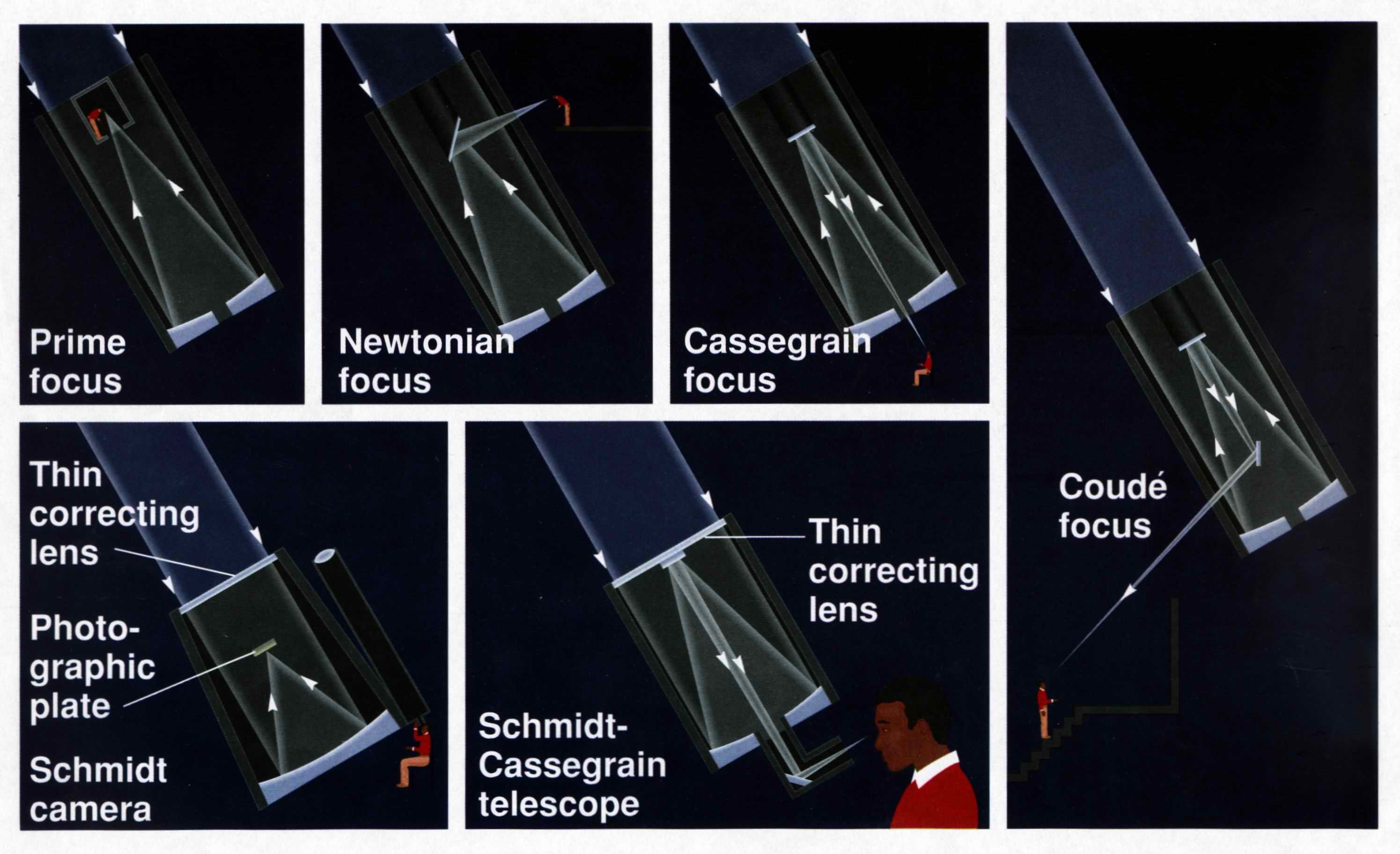 Cassegrain Vs Newtonian atelieryuwa.ciao.jp