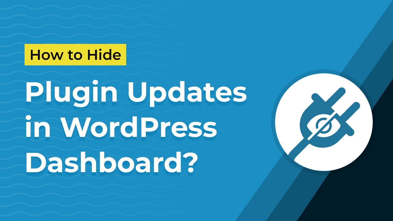How to Hide Plugin Updates in WordPress?