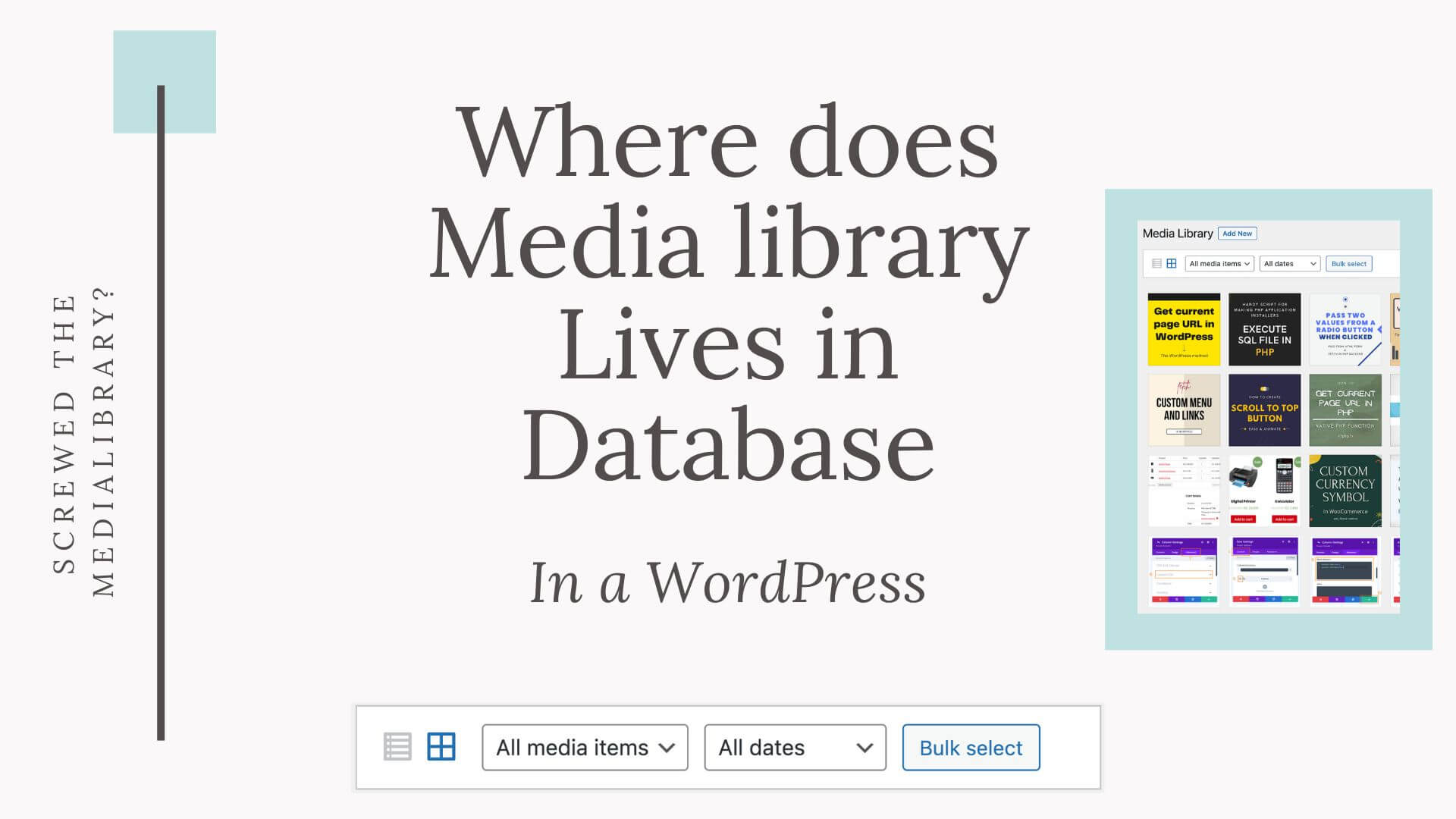 Where does the Media Library lives in the database?