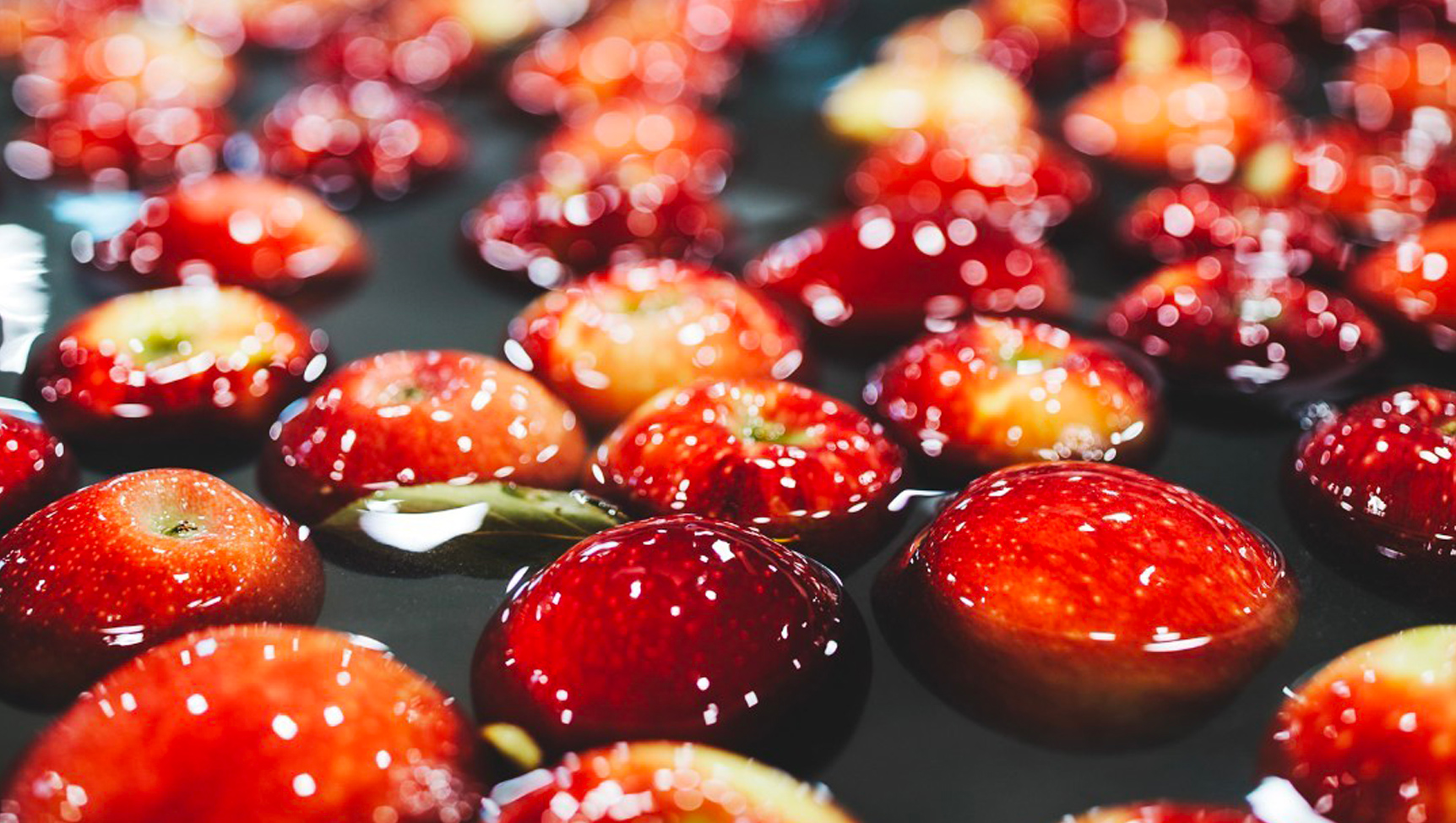 Did You Know? Apple Facts Washington Apples