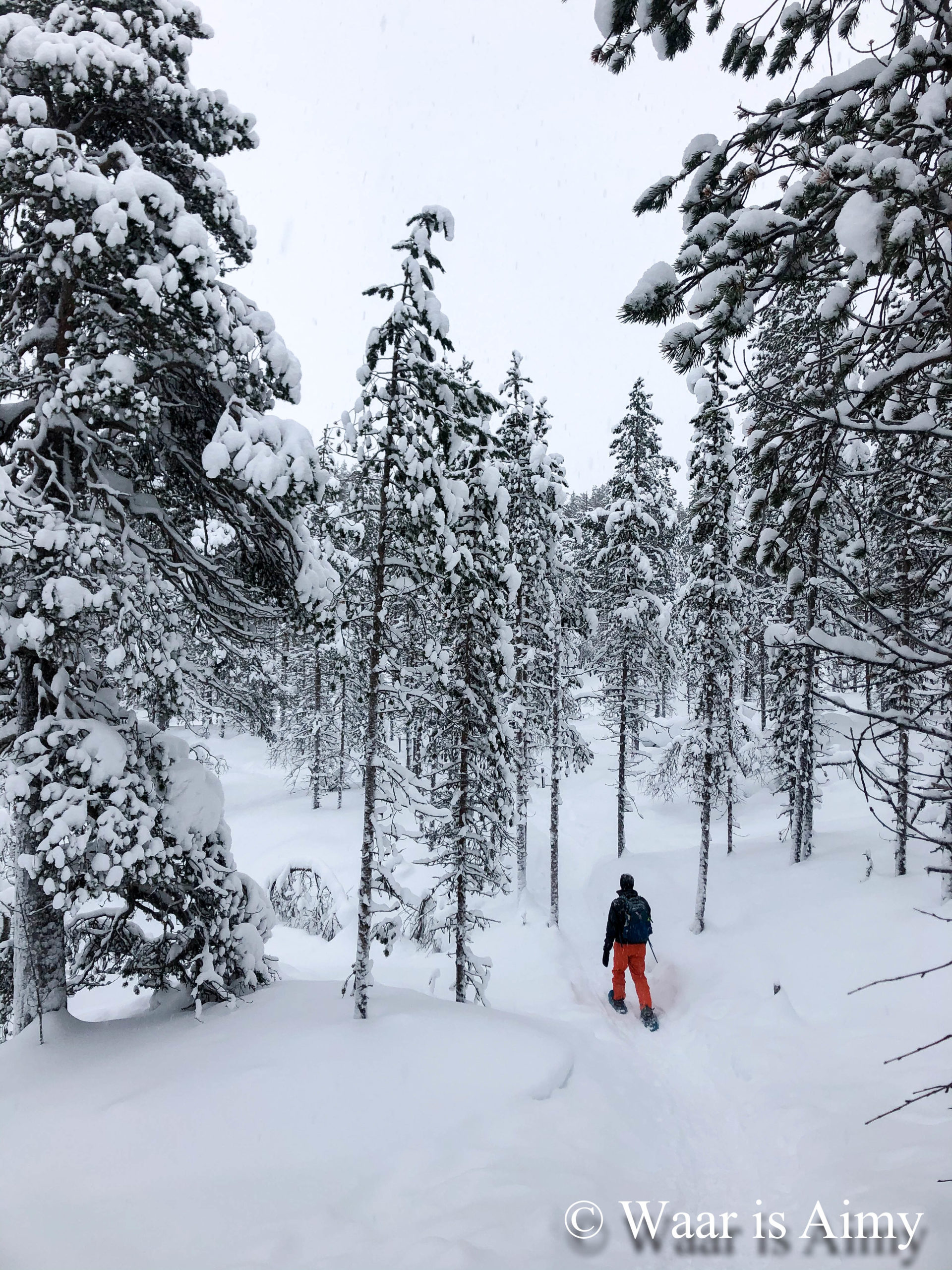 Saariselkä - Waar is Aimy