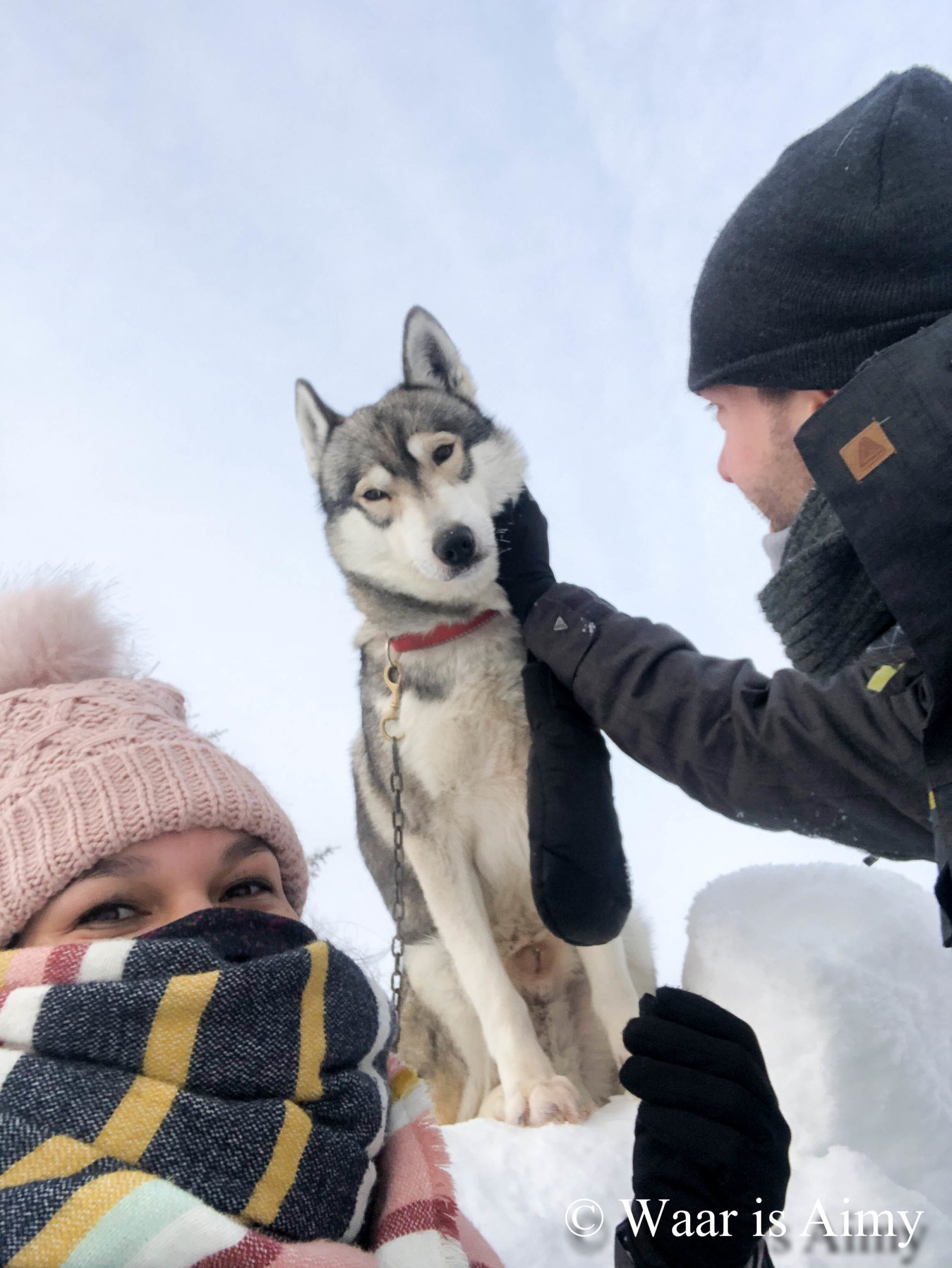 Huskytour Levi - Waar is Aimy