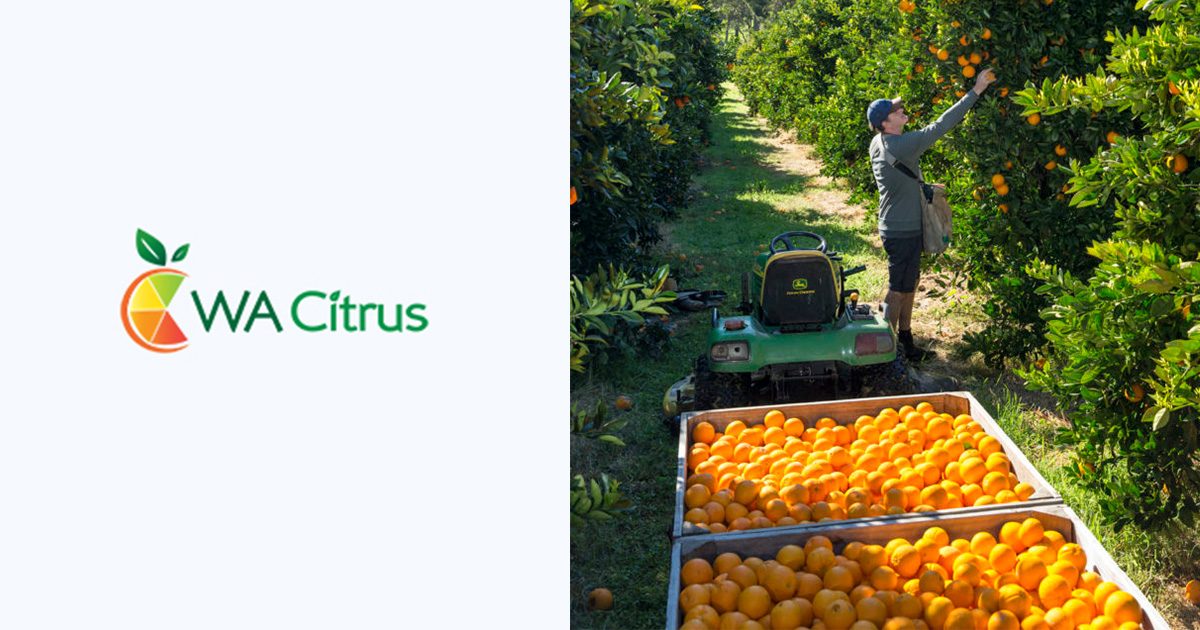 Season and Varieties WA Citrus