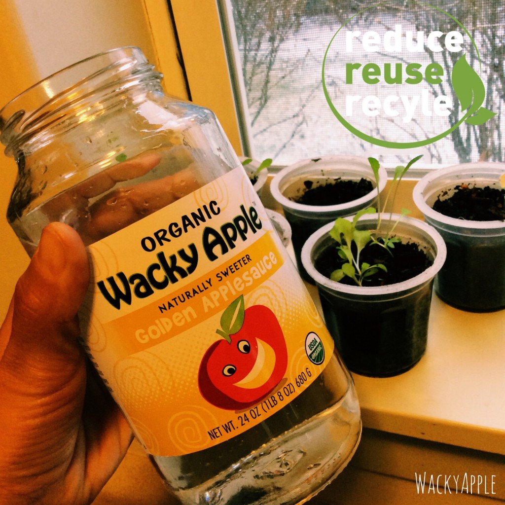 Reuse Your Wacky Apple Containers Wacky Apple