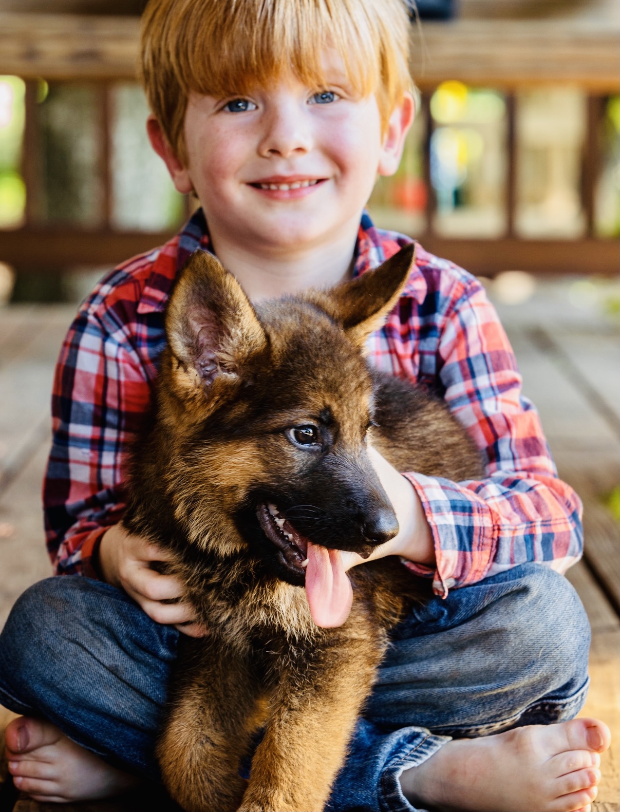 Beautiful 7 week GSD puppies German Shepherds
