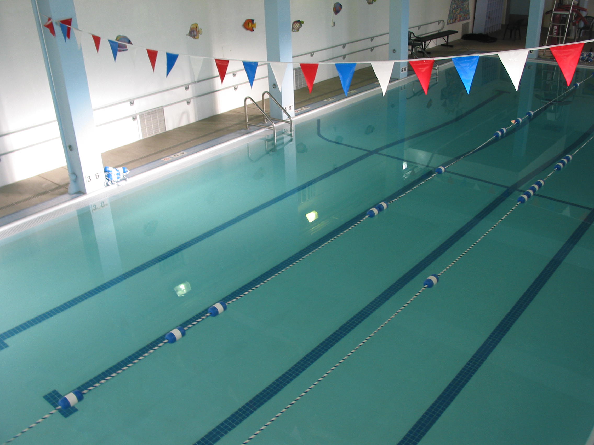 Buckman Pool waderthegator