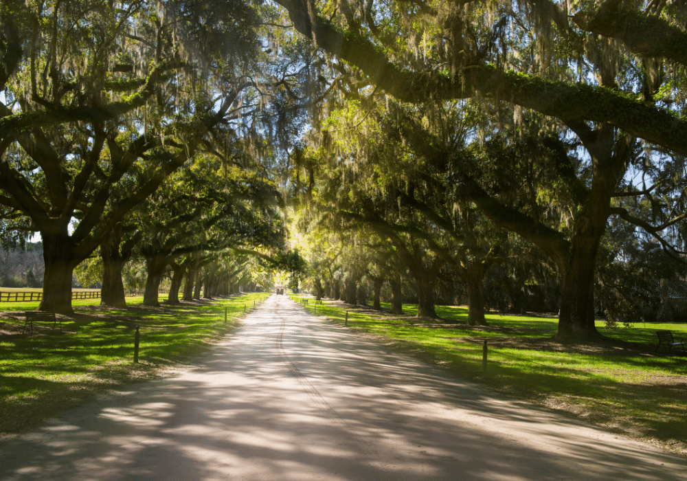 Events Myrtle Beach April 2023 MYRTLE BEACH SPRING SPECTACULAR APRIL 2228, 2023 Wade Tours Bus Tours