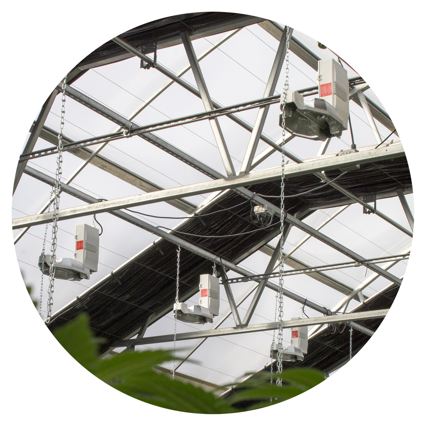 Curtains Wadsworth Controls