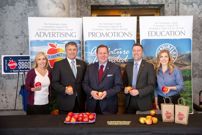 Get A Washington Apples License Plate WAEF