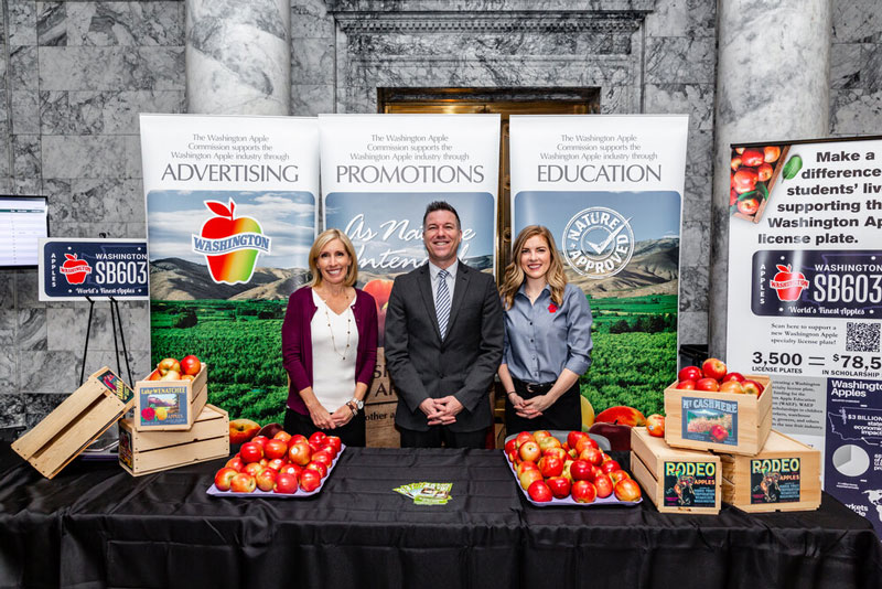 Get A Washington Apples License Plate WAEF