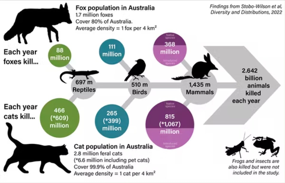 What do we know about cats and their impacts? WA Feral Cat Working Group
