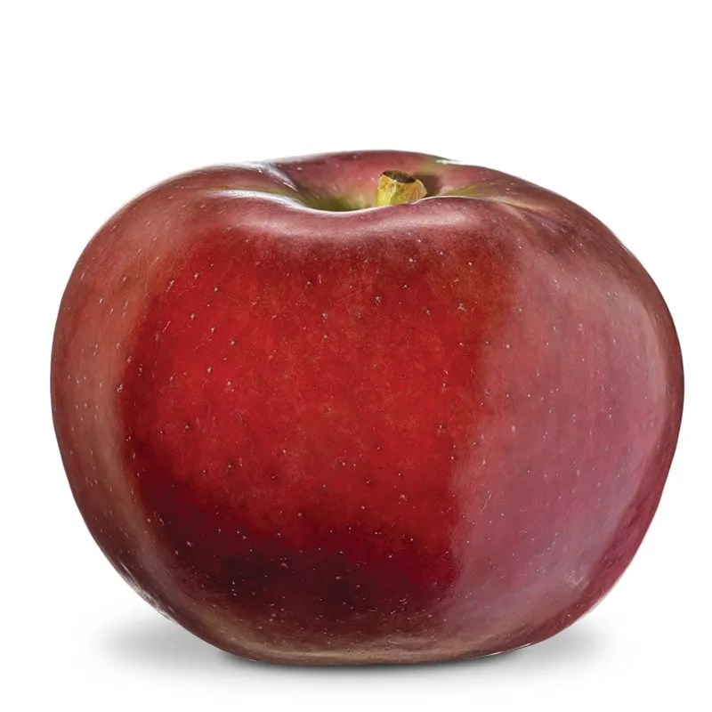 Apple Varieties Wafler Nursery