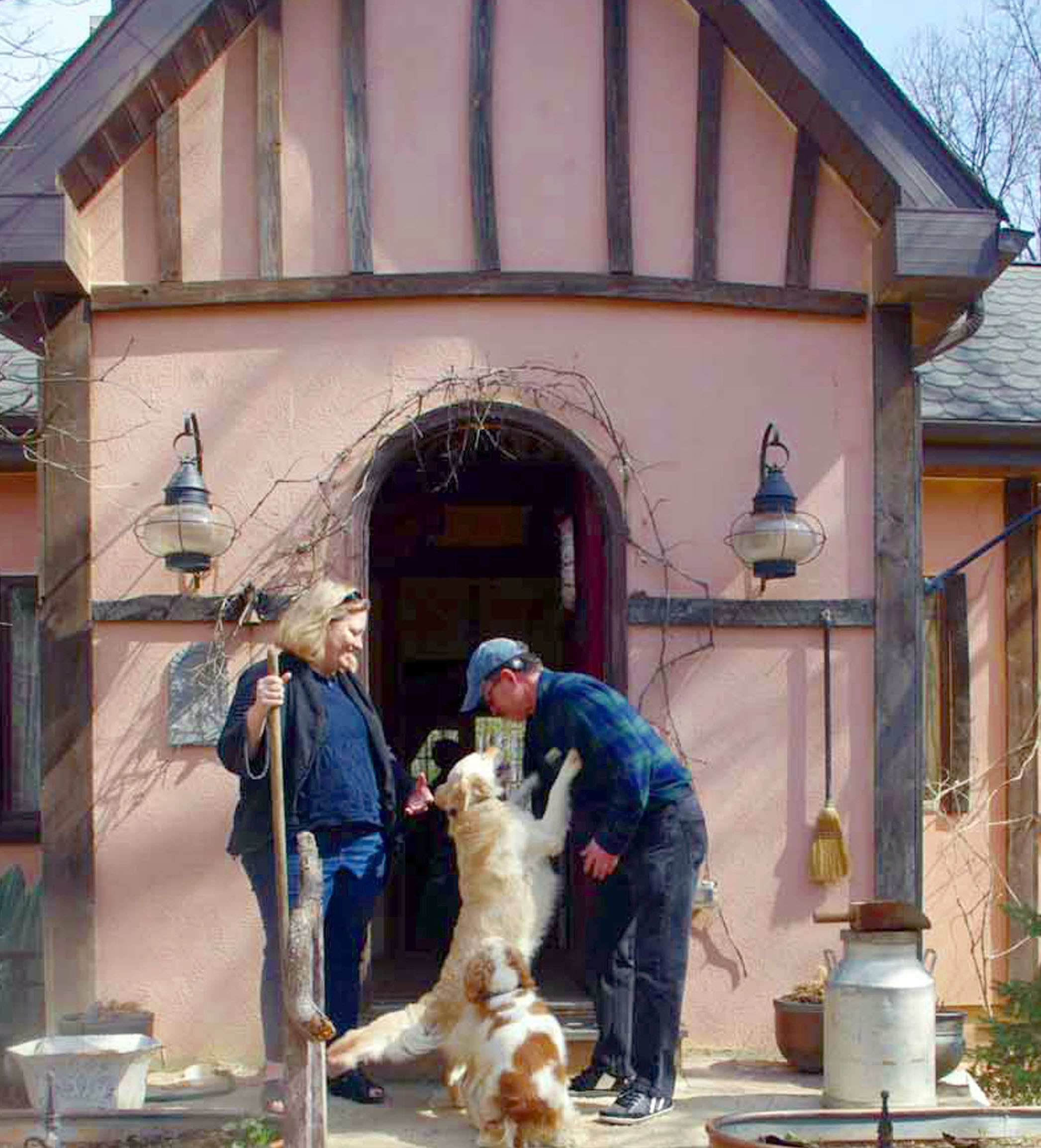 wagadilly cottage dog boarding Dog Boarding, Dog Training, Dog Psychology & Socialization