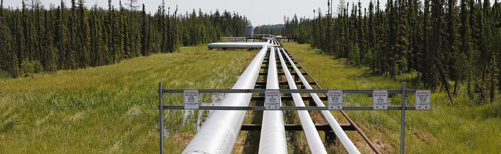 Pipeline Vegetation Right of Way Wagar & Corput Weed Control