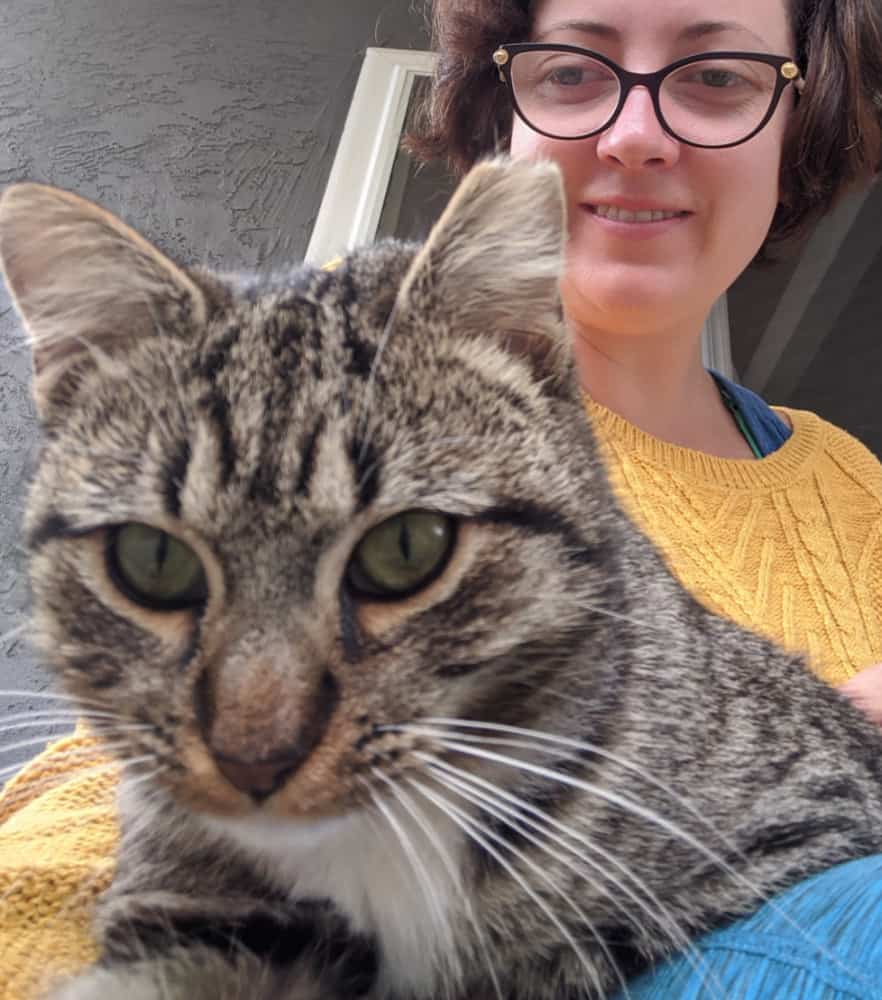 Available Barn Cats Adopt a Barn Cat from Wagging Dog Rescue