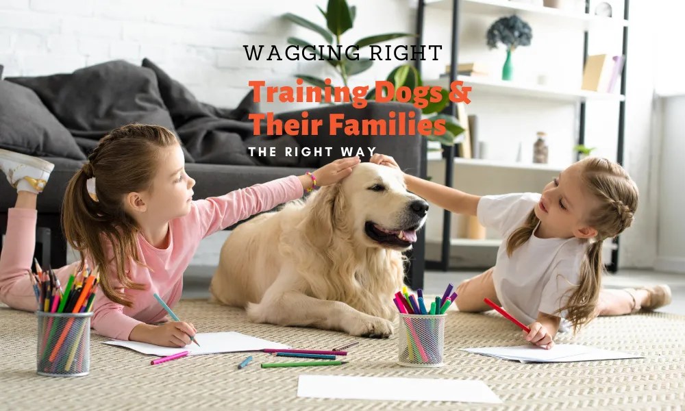 West Chester Dog Training Wagging Right