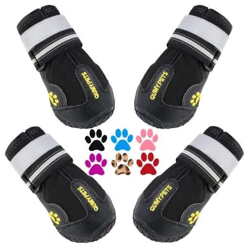 How to Keep Your Dog Safe In the Summer Heat Wagging Right