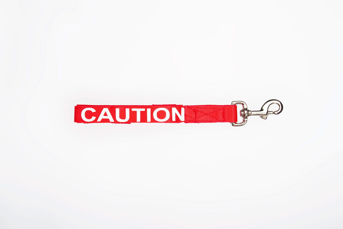 Caution Dog Leash A Wagging Success