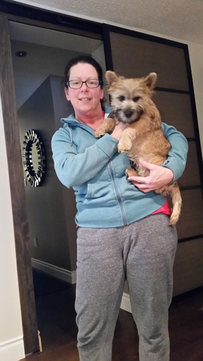 Pet Sitting and Overnight Care Waggin' Tails Pet Services
