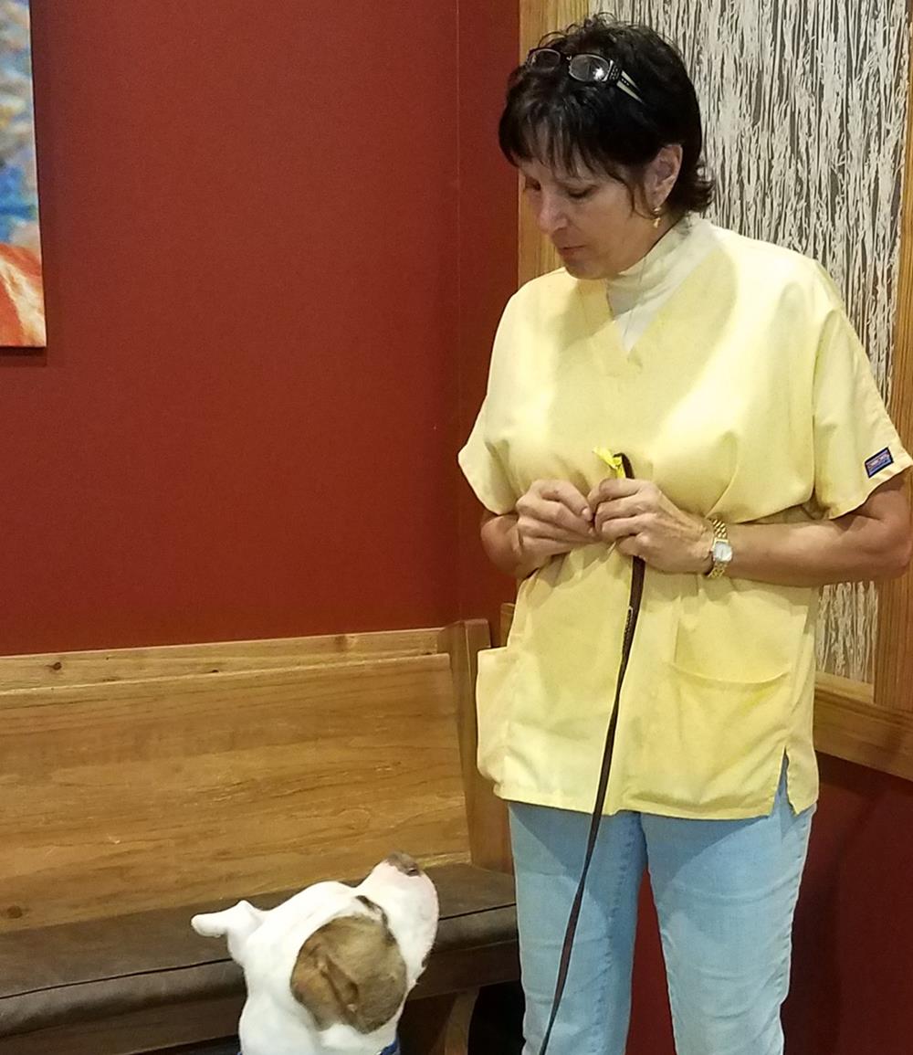 About Waggin' Wheel Vet